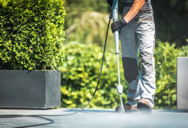 Solar Panel Cleaning in Circle D Kc Estates, TX
